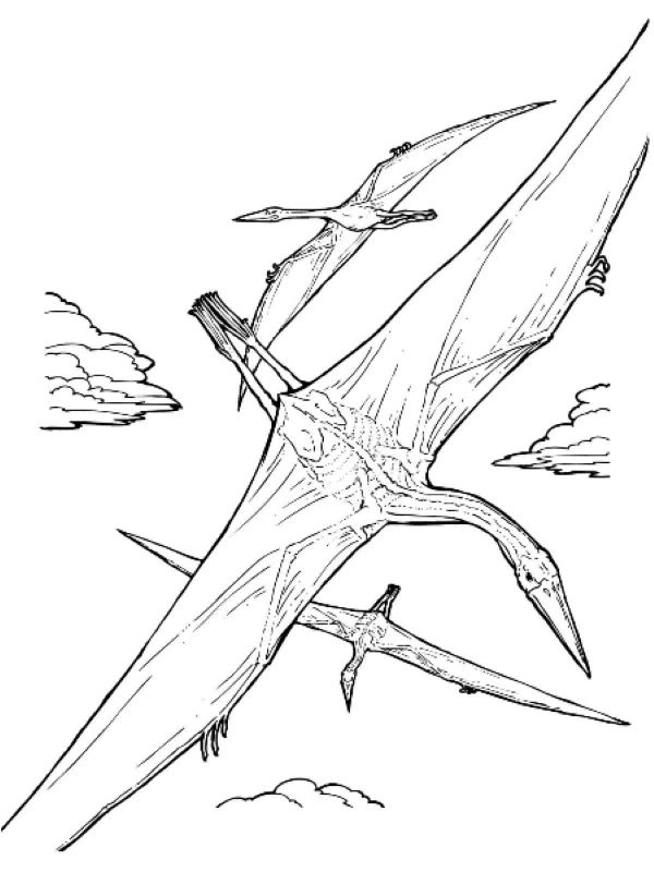 ζωγραφική Δωρεάν Quetzalcoatlus