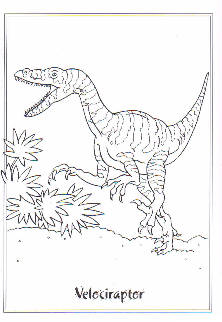 ζωγραφική Velociraptor δωρεάν