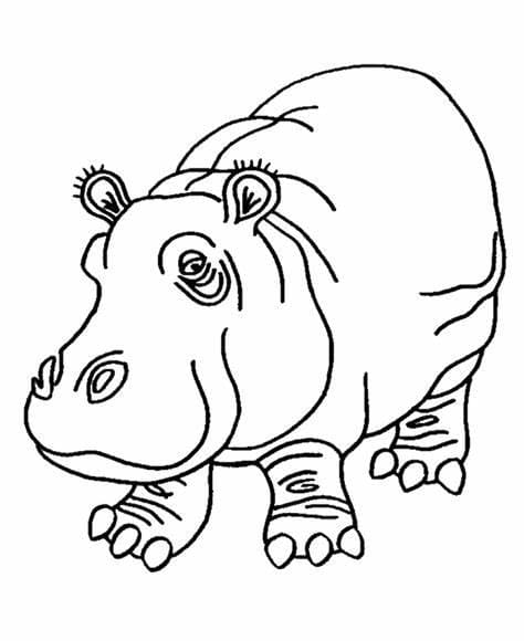 ζωγραφική Free Hippo Image