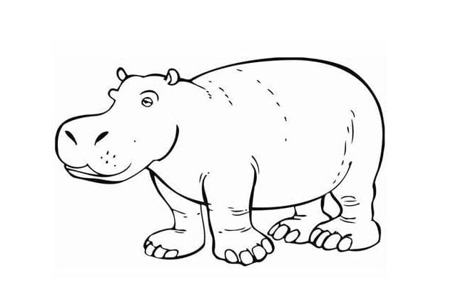 ζωγραφική Hippo Outline