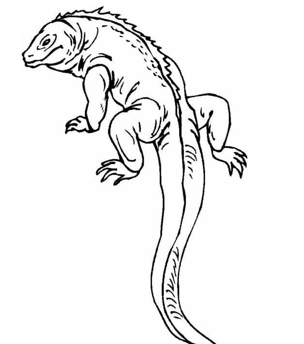 ζωγραφική Print Lizards Image Outline