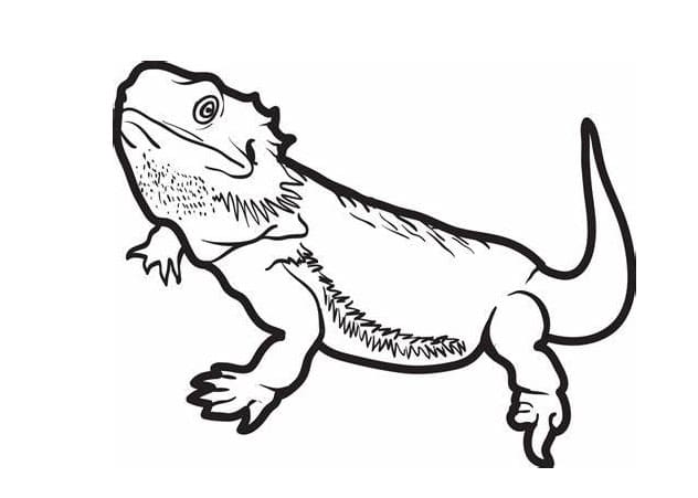 ζωγραφική Printable Lizards Image