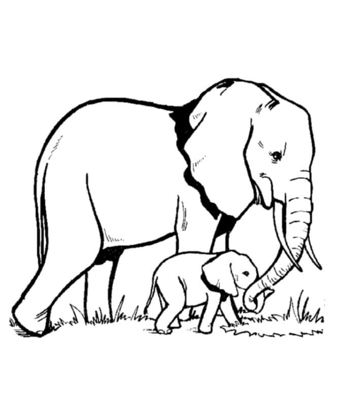 ζωγραφιεσ Ελέφαντας
