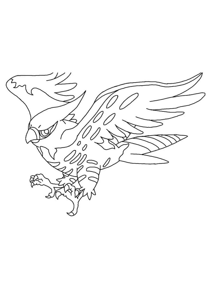 ζωγραφική Pokemon Talonflame
