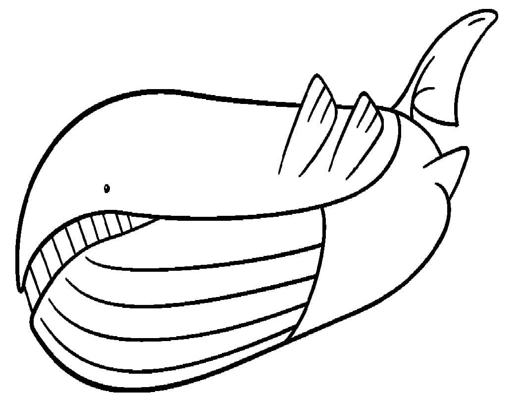 ζωγραφική Pokemon Wailord