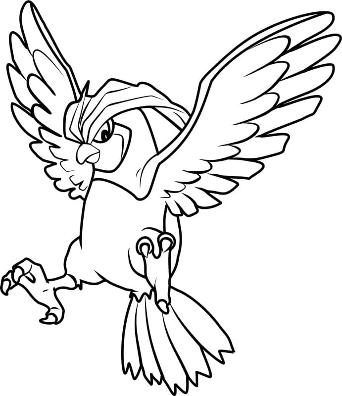 ζωγραφική Pokemon Pidgeotto