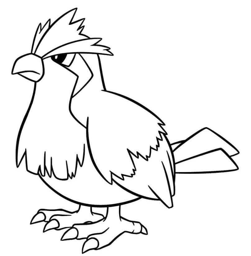 ζωγραφική Pokemon Pidgey