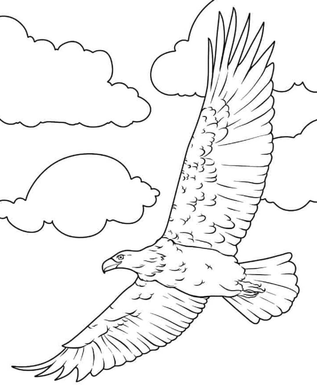 ζωγραφική Αετός που πετάει με σύννεφα ζωγραφική Αετός που πετάει με σύννεφα
