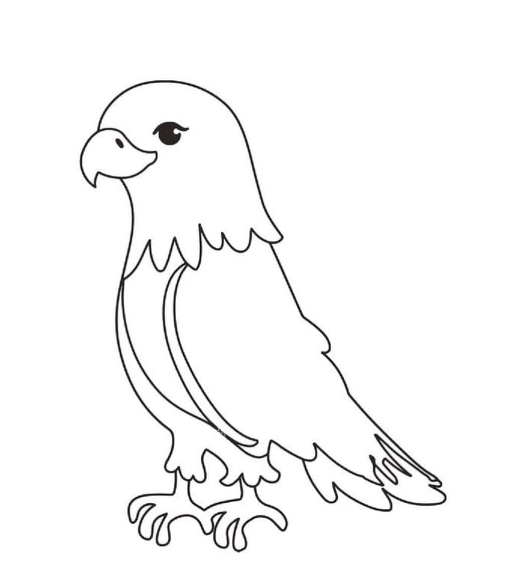 ζωγραφική Χαριτωμένο μικρό αετό ζωγραφική Χαριτωμένο μικρό αετό
