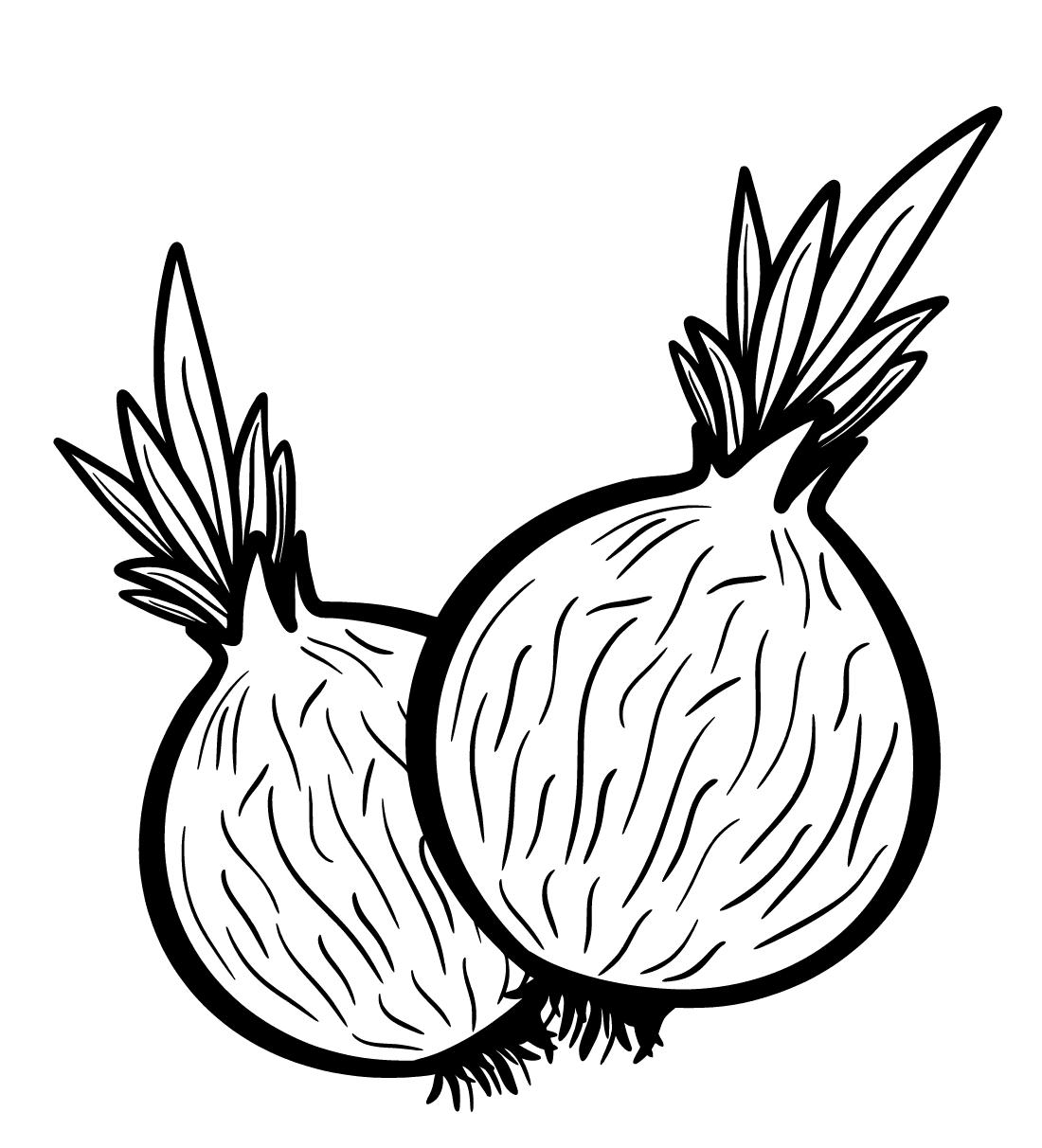 ζωγραφική Δωρεάν εκτυπώσιμο κρεμμύδι