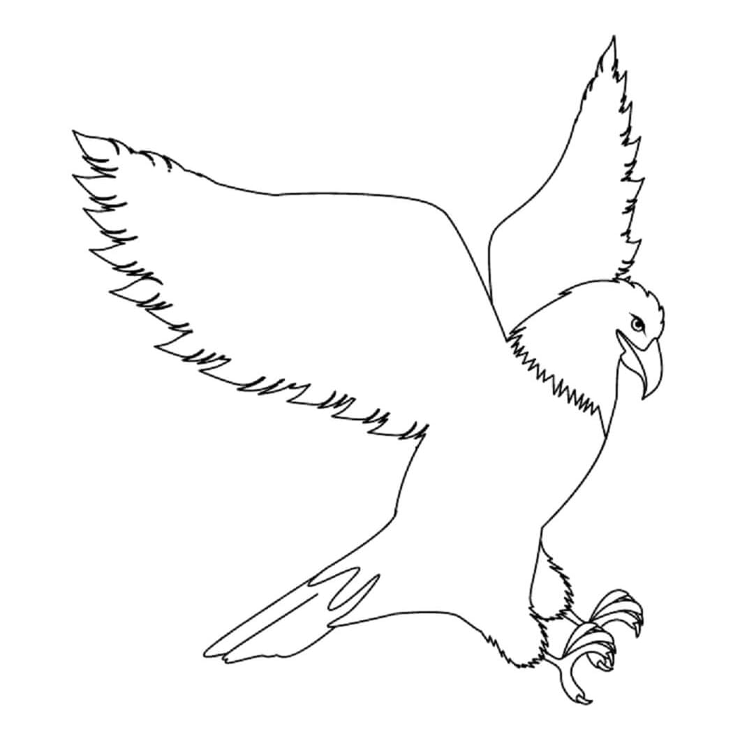 ζωγραφική Δωρεάν Ιδέα για τον Αετό ζωγραφική Δωρεάν Ιδέα για τον Αετό