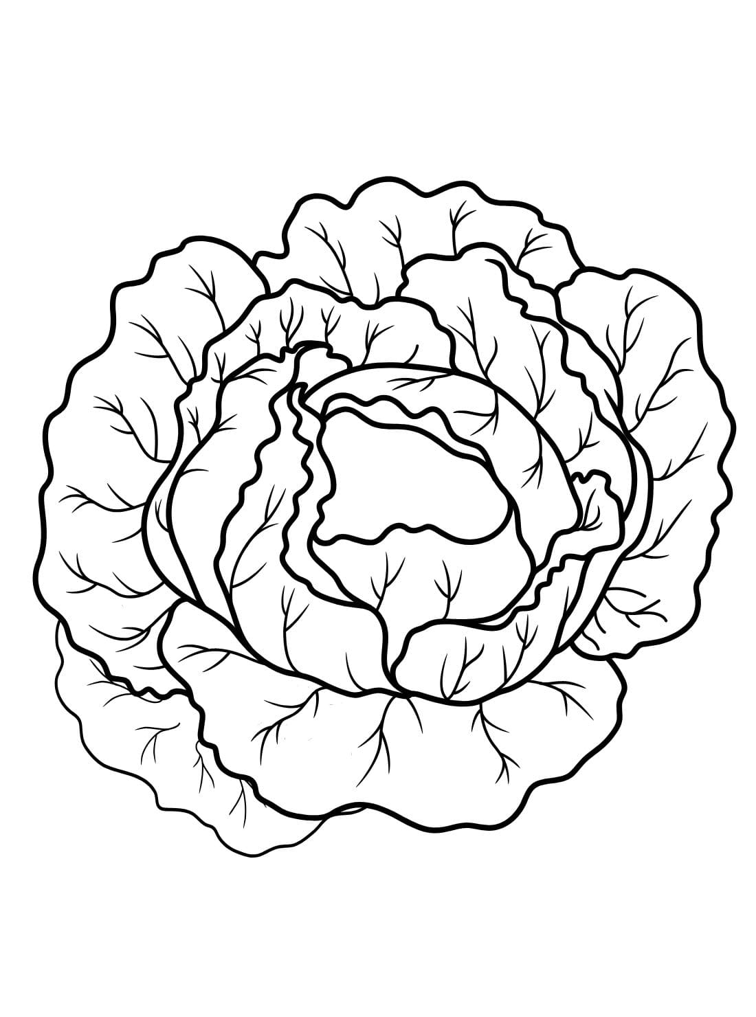 ζωγραφική Εκτύπωση για Παιδί Λάχανο