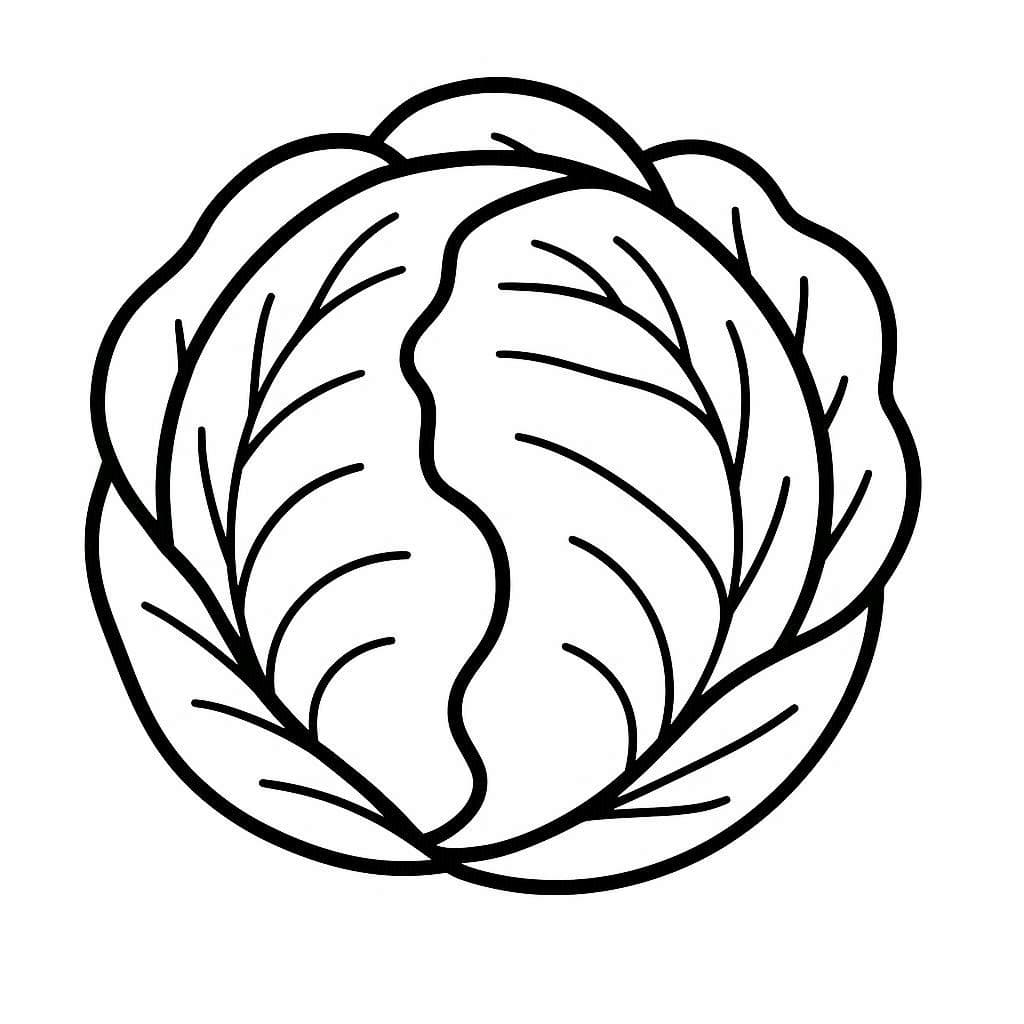 ζωγραφική Εκτύπωση Λάχανο