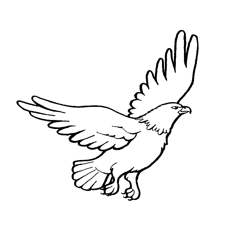 ζωγραφική Εκτυπώσιμο αετός ζωγραφική Εκτυπώσιμο αετός