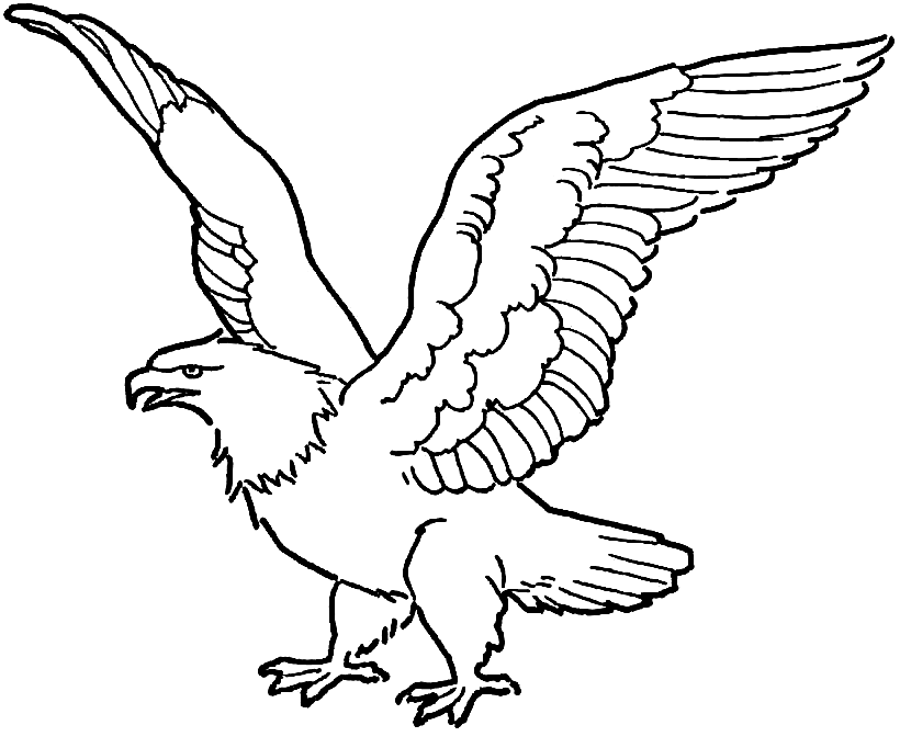 ζωγραφική Εκτυπώσιμος Αετός για Παιδιά ζωγραφική Εκτυπώσιμος Αετός για Παιδιά