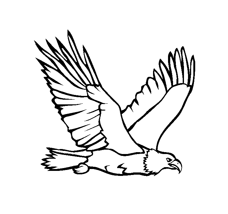 ζωγραφική Ιπτάμενος Αετός για Παιδιά ζωγραφική Ιπτάμενος Αετός για Παιδιά