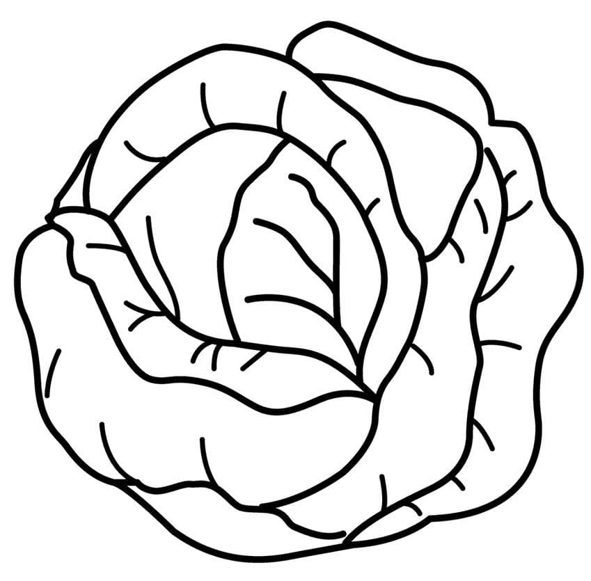 ζωγραφική Λάχανο για παιδιά δωρεάν