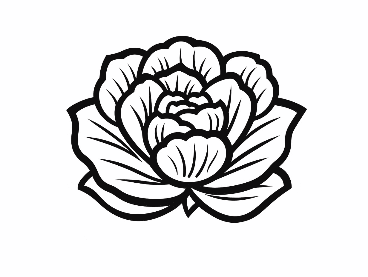 ζωγραφική Μωβ Λάχανο