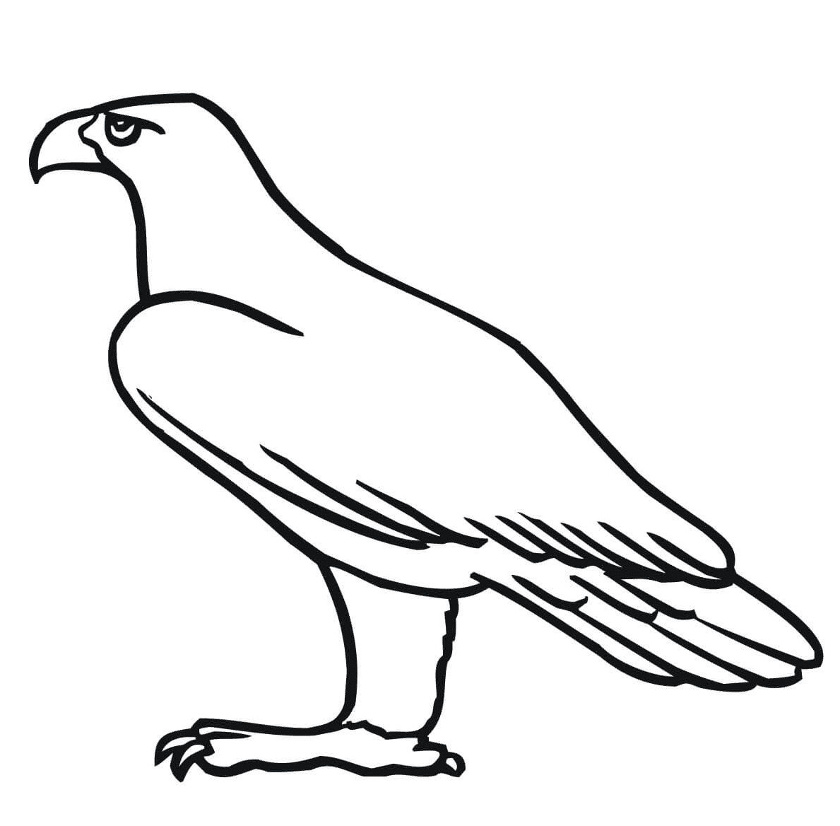 ζωγραφική Σταυραετός ζωγραφική Σταυραετός