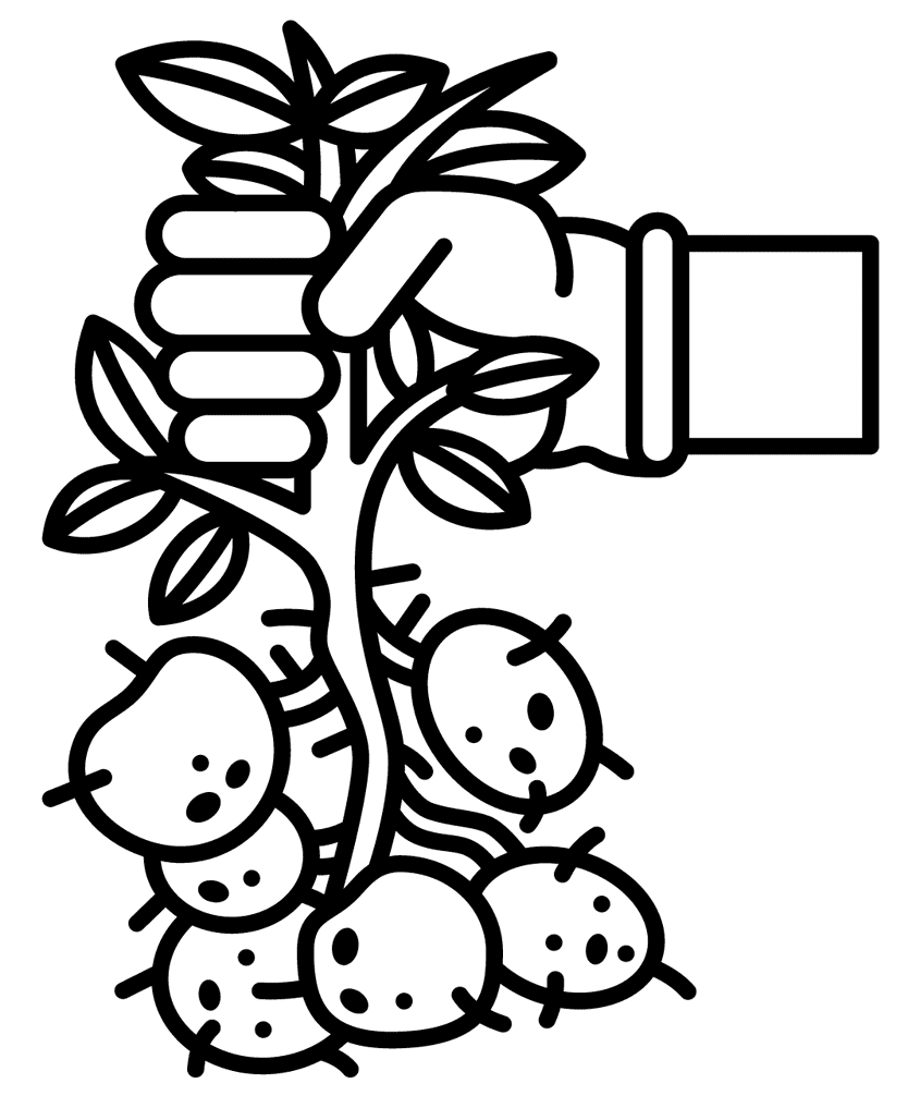 ζωγραφική Συγκομιδή πατατών κήπου