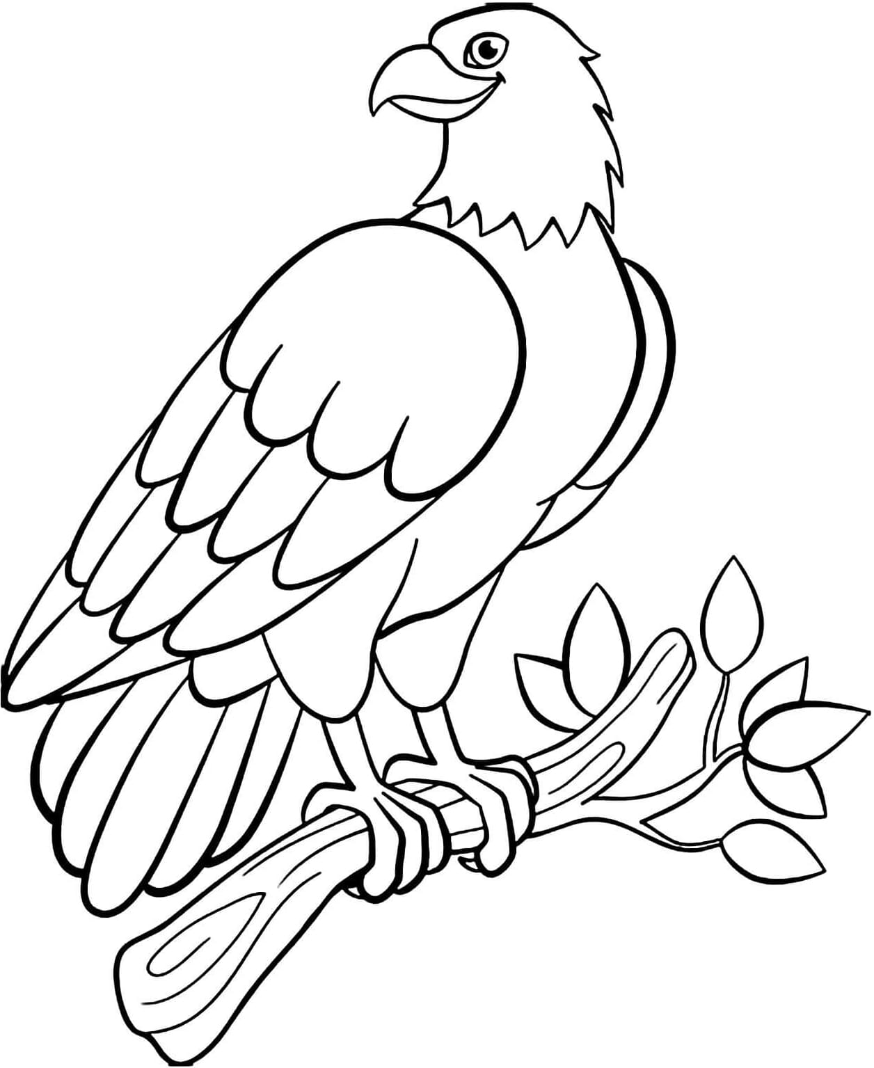 ζωγραφική Βασικός Αετός ζωγραφική Βασικός Αετός