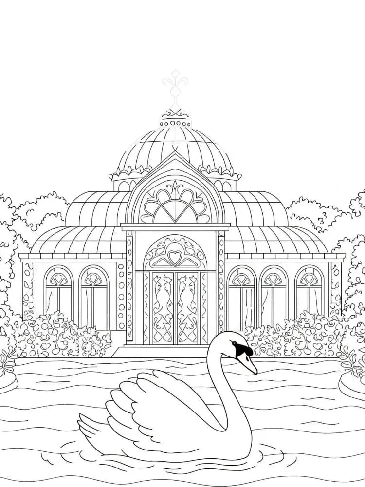 ζωγραφική Εκτυπώσιμος Κύκνος δωρεάν