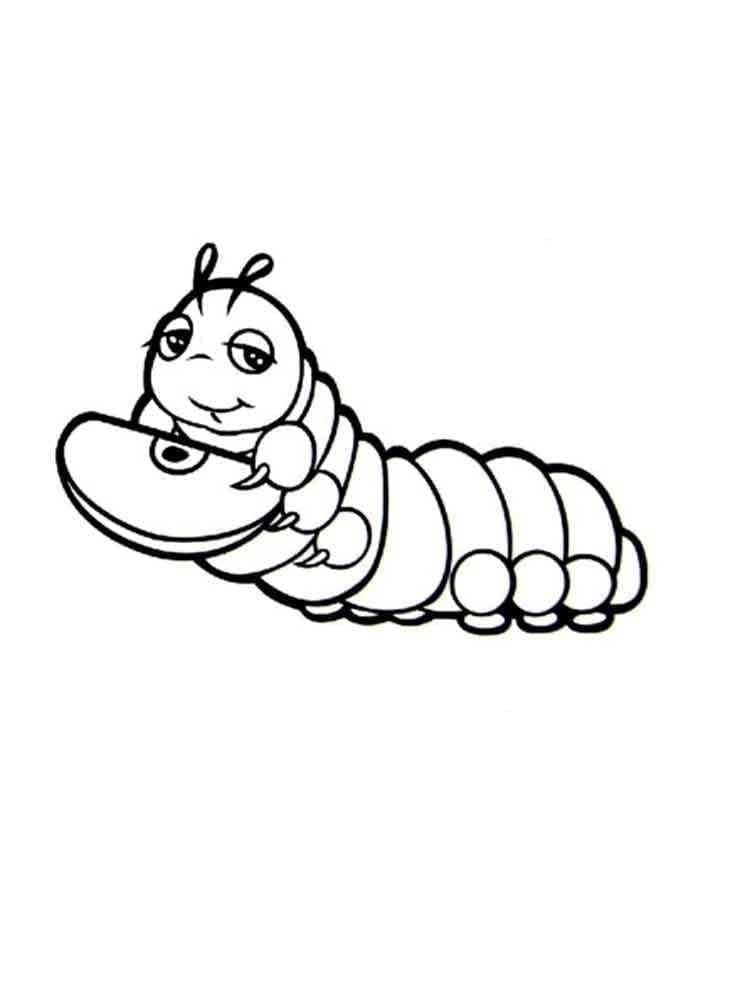 ζωγραφική Κάμπια για παιδιά δωρεάν