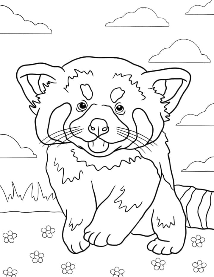 ζωγραφική Κόκκινο Πάντα Χαριτωμένο ζωγραφική Κόκκινο Πάντα Χαριτωμένο