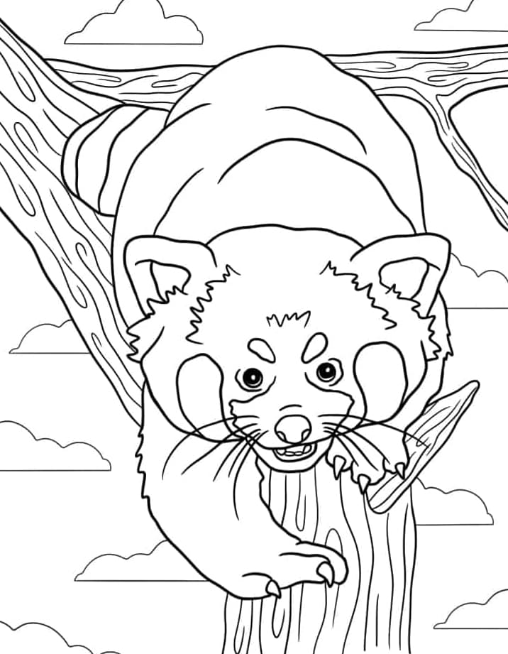 ζωγραφική Κόκκινο πάντα με άτακτη όψη ζωγραφική Κόκκινο πάντα με άτακτη όψη