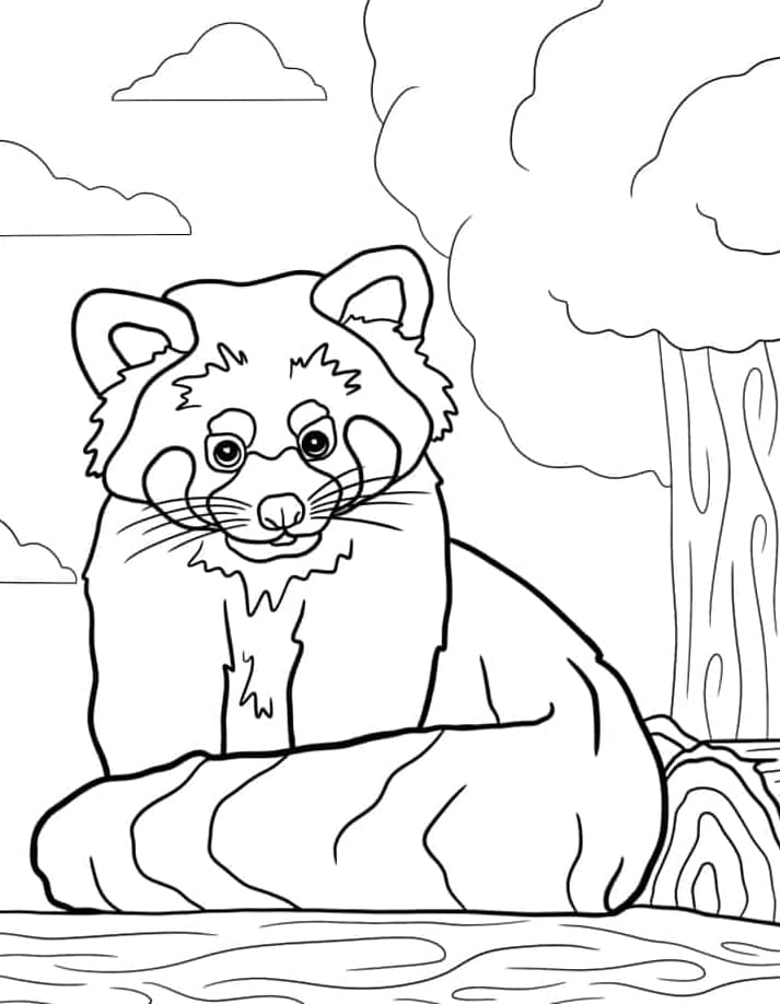 ζωγραφική Κόκκινο πάντα με ουρά περιτυλίγματος γύρω ζωγραφική Κόκκινο πάντα με ουρά περιτυλίγματος γύρω