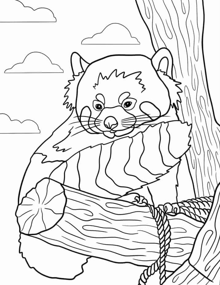 ζωγραφική Κόκκινο πάντα που κάθεται σε δέντρο ζωγραφική Κόκκινο πάντα που κάθεται σε δέντρο