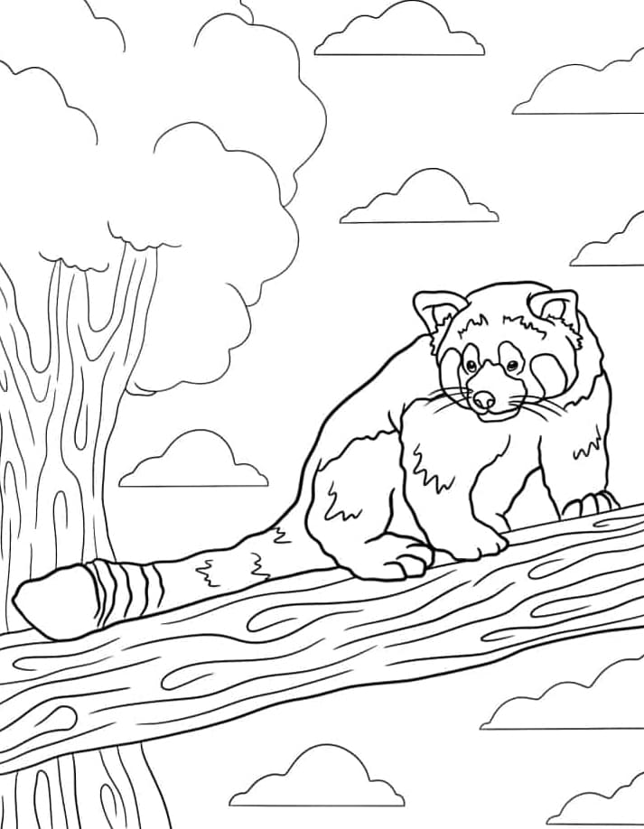 ζωγραφική Κόκκινο Πάντα σε Δέντρο ζωγραφική Κόκκινο Πάντα σε Δέντρο