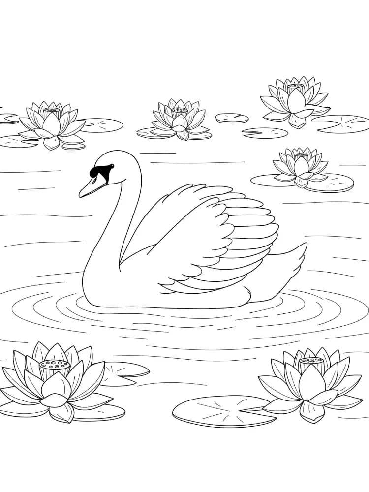 ζωγραφική Κύκνος δωρεάν για παιδιά