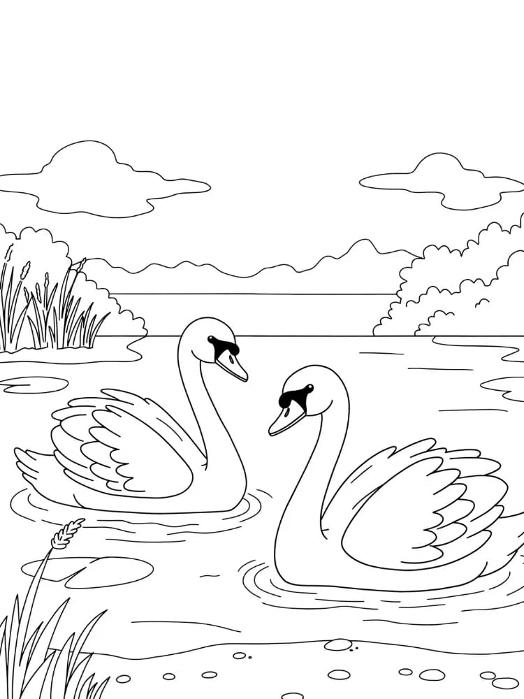 ζωγραφική Κύκνος για παιδιά