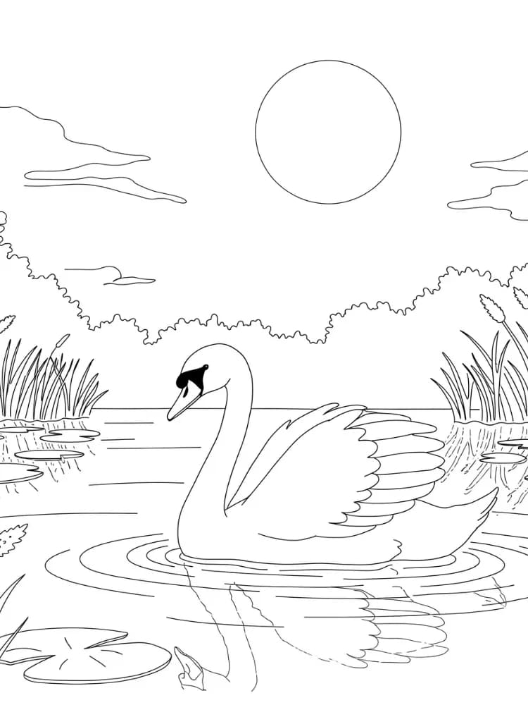 ζωγραφική Κύκνος και ήλιος