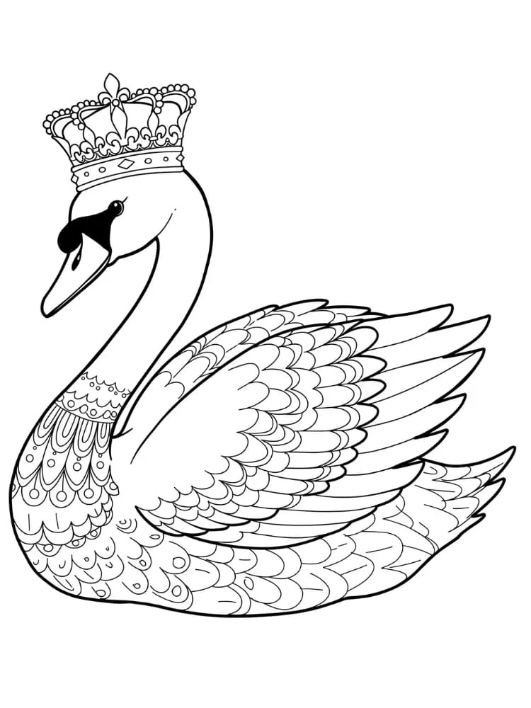 ζωγραφική Κύκνος με στέμμα