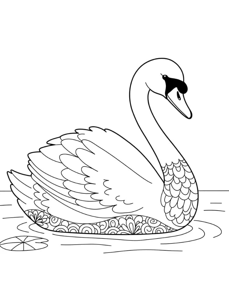 ζωγραφική Κύκνος όμορφος