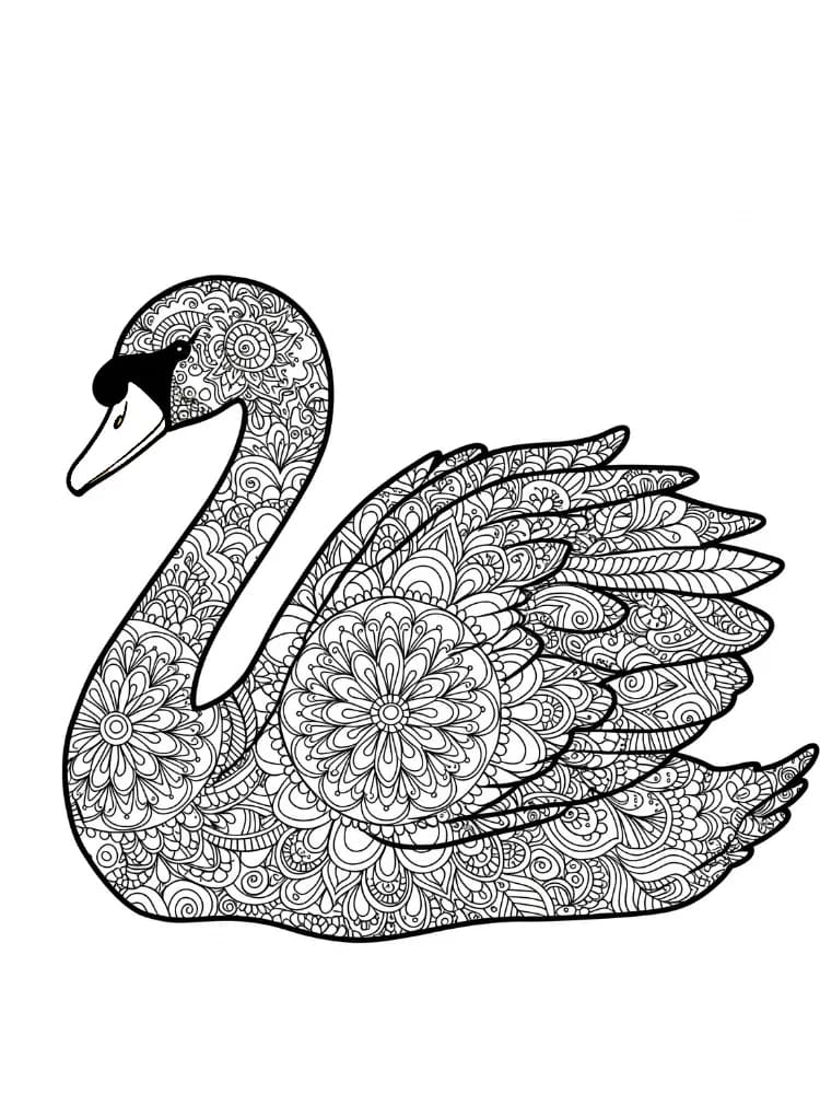 ζωγραφική Κύκνος ωραίος