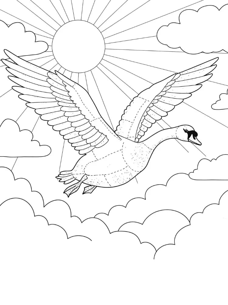 ζωγραφική Κύκνος που πετάει