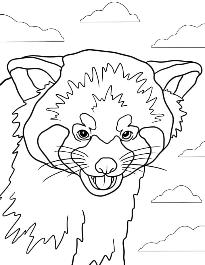 ζωγραφική Ρεαλιστικό κόκκινο πρόσωπο πάντα ζωγραφική Ρεαλιστικό κόκκινο πρόσωπο πάντα