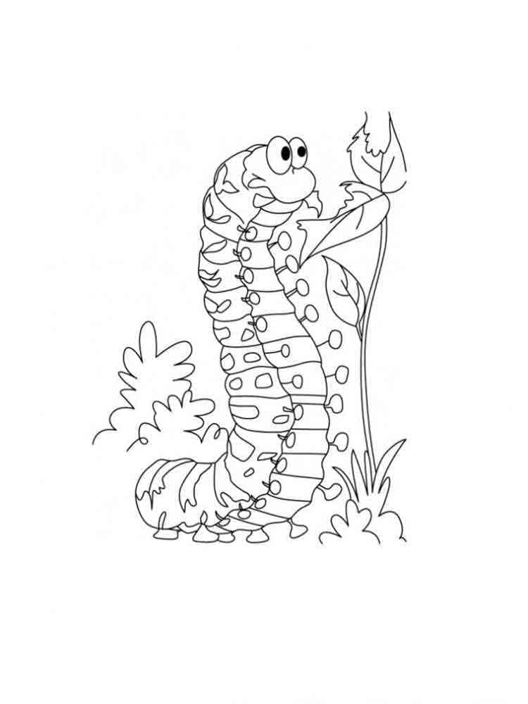 ζωγραφική Ξεκαρδιστική κάμπια