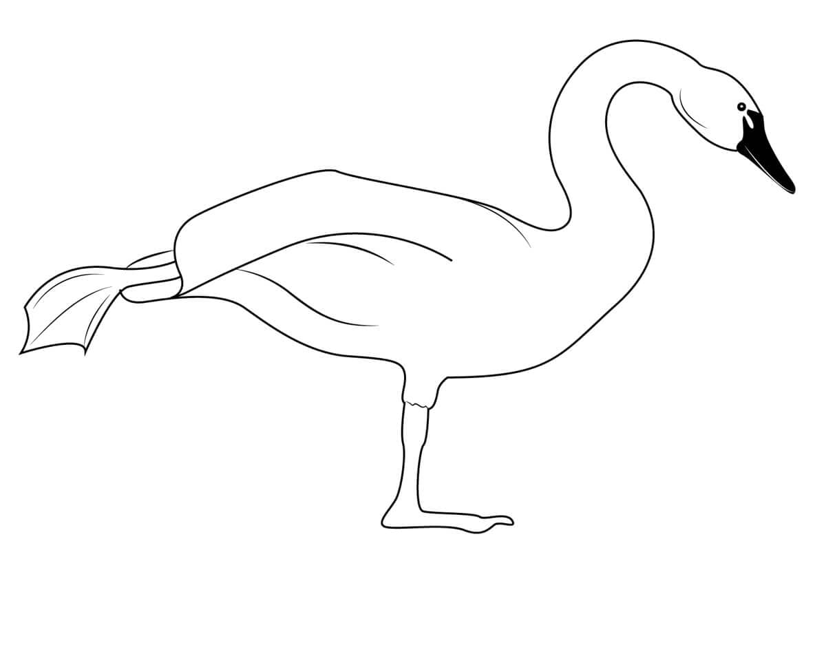 ζωγραφική Υπερόμορφος Κύκνος