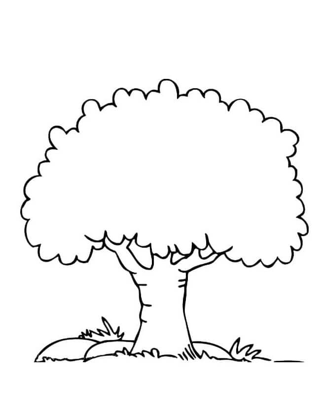 ζωγραφική Δέντρο με χοντρό κορμό εικών