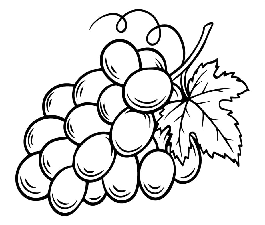 ζωγραφική Εικόνες σταφυλιών