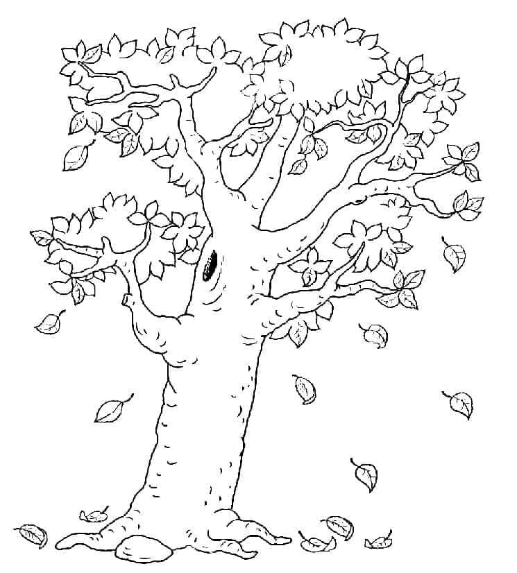 ζωγραφική Φθινοπωρινό Δέντρο με Κοίλο