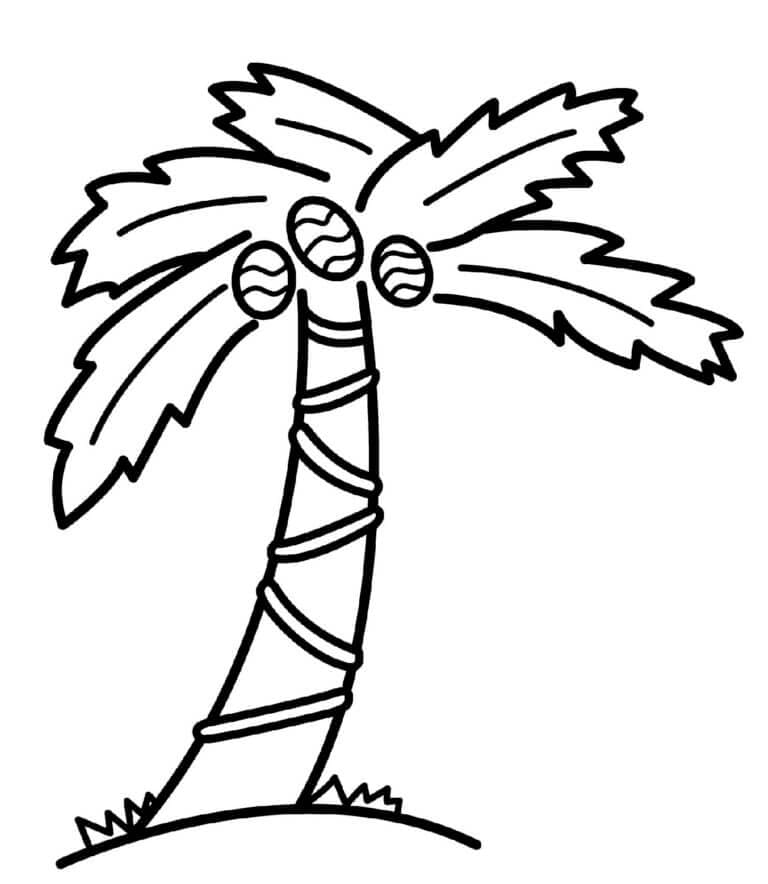 ζωγραφική Καρύδα Δέντρο