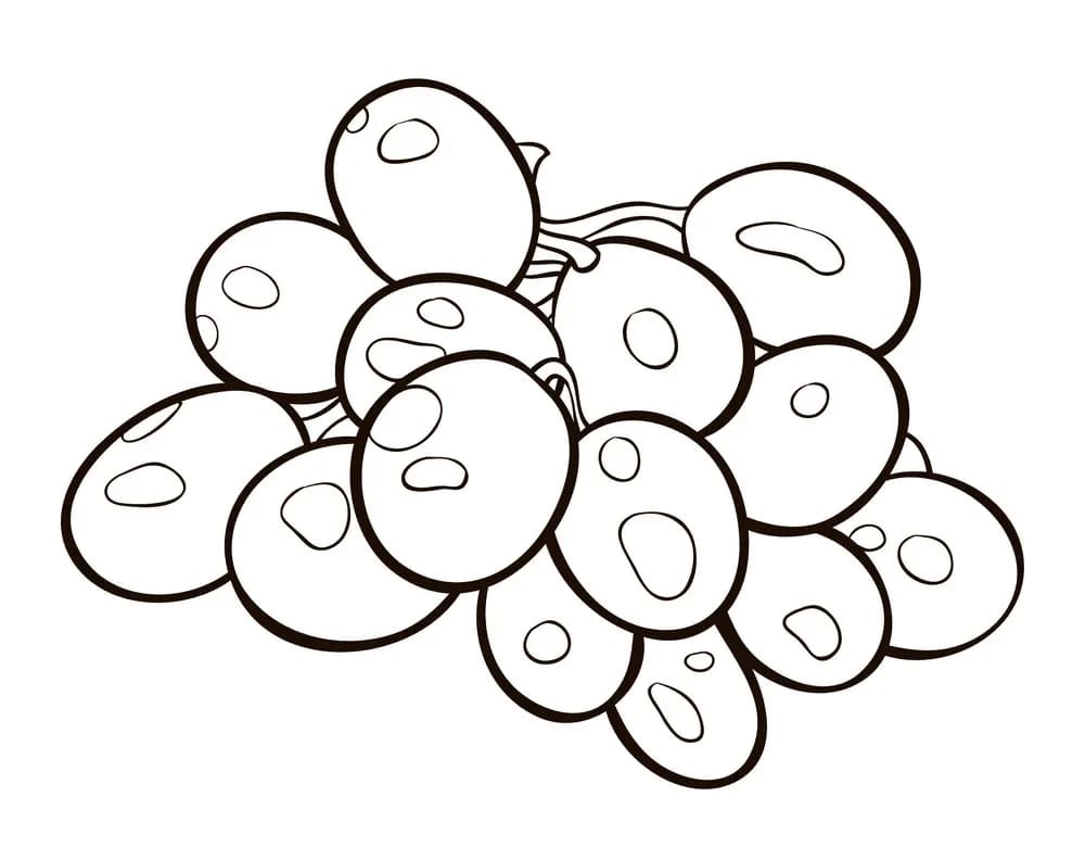 ζωγραφική Σταφύλια Χωρίς φρούτα