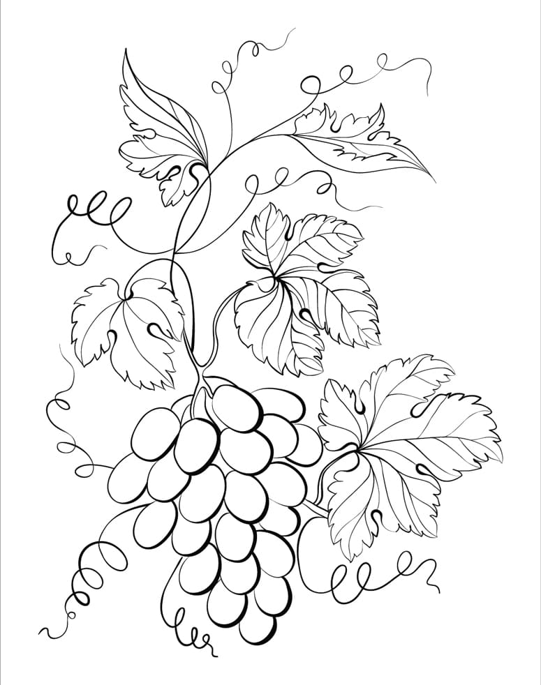 ζωγραφική Σταφύλια Εκτυπώσιμα δωρεάν