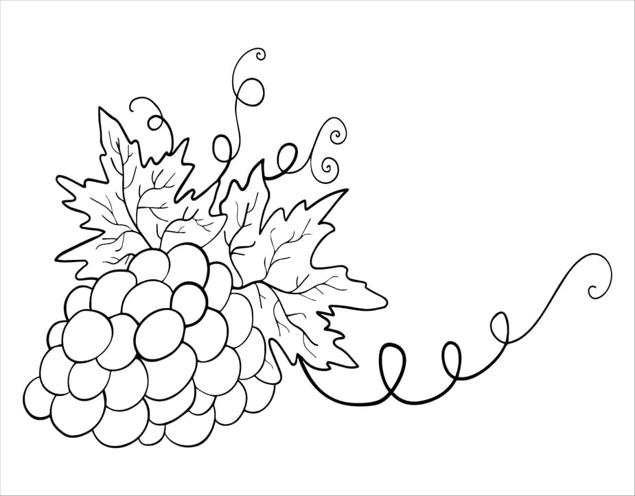 ζωγραφική Σταφύλια πολύ απλά