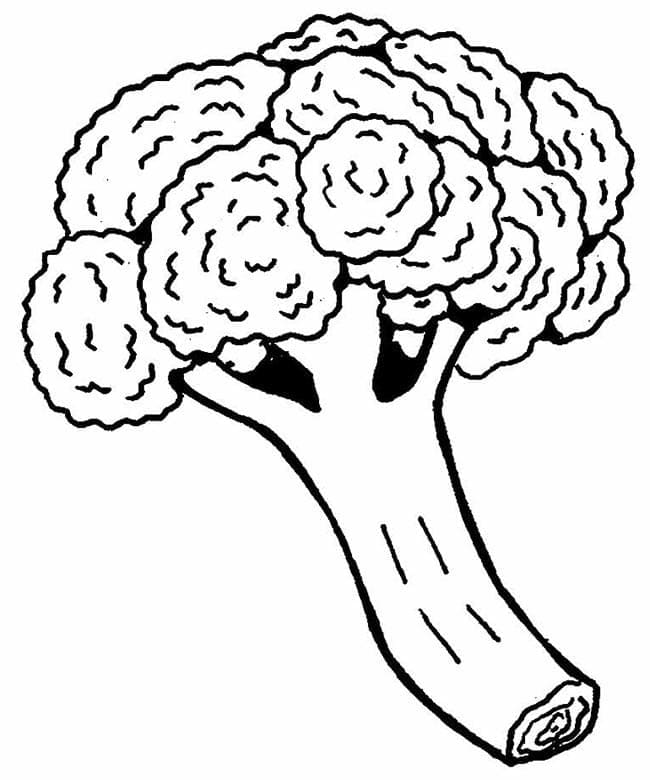 ζωγραφική Μπρόκολο Δωρεάν